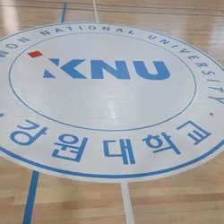 강원대학교 체육관 배드민턴코트,농구코트 라인도장