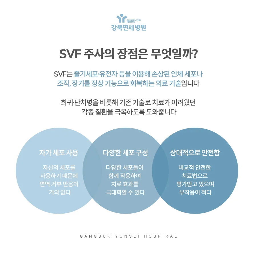 이미지 6