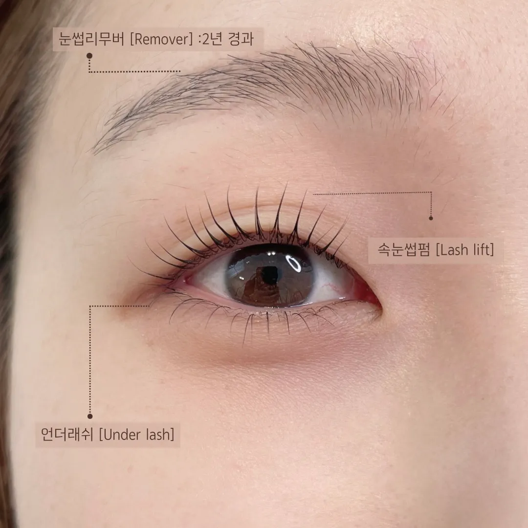 이미지 3