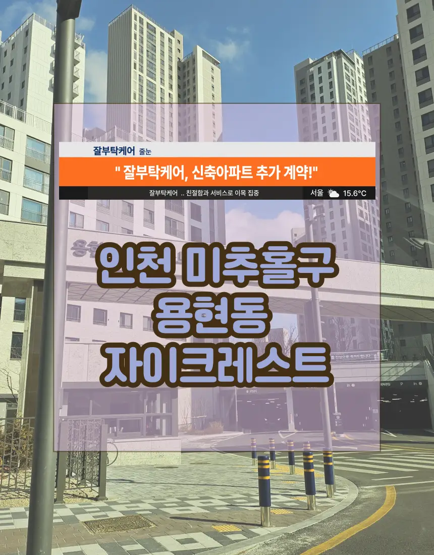 포트폴리오 이미지