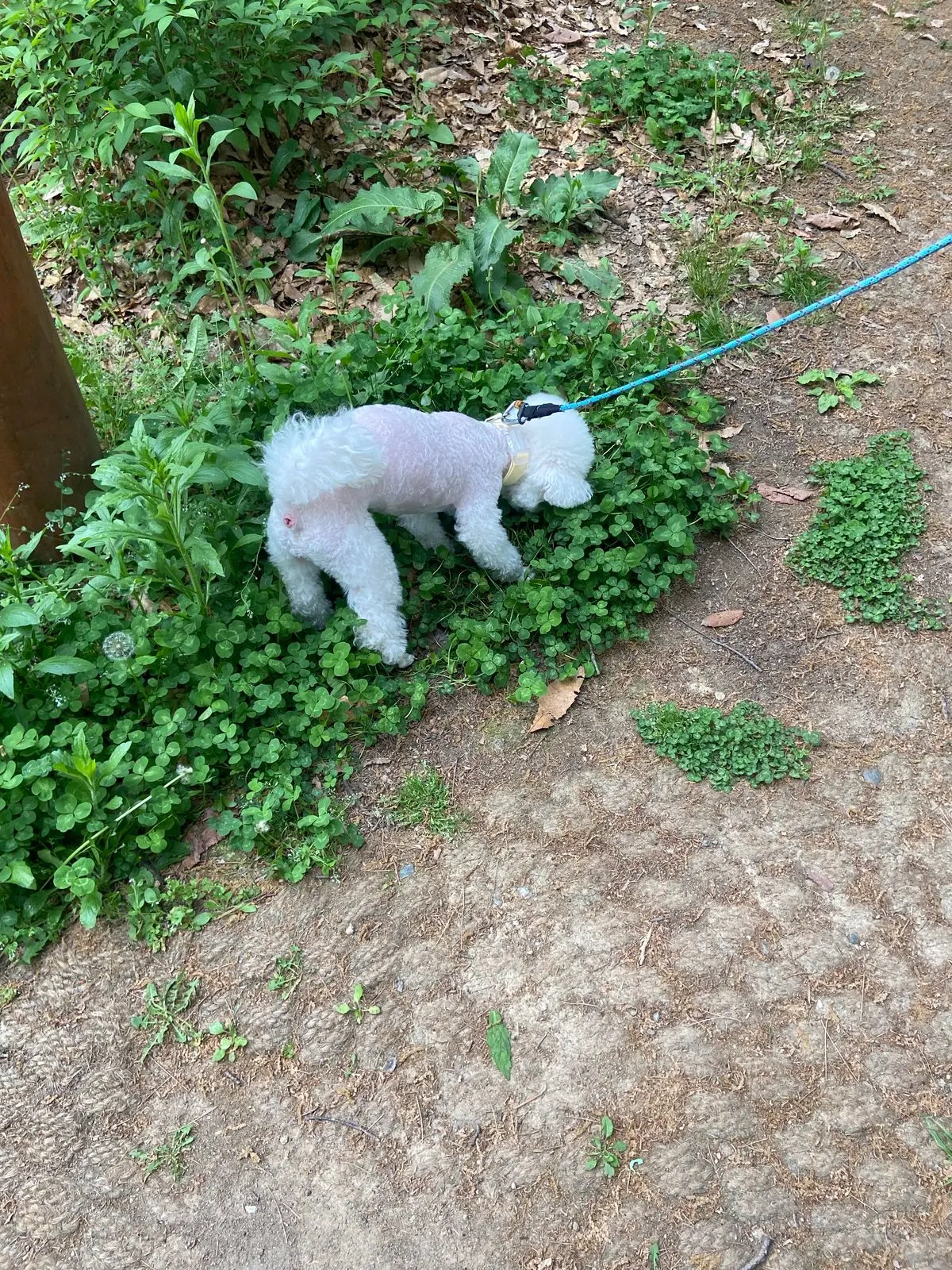 이미지 6