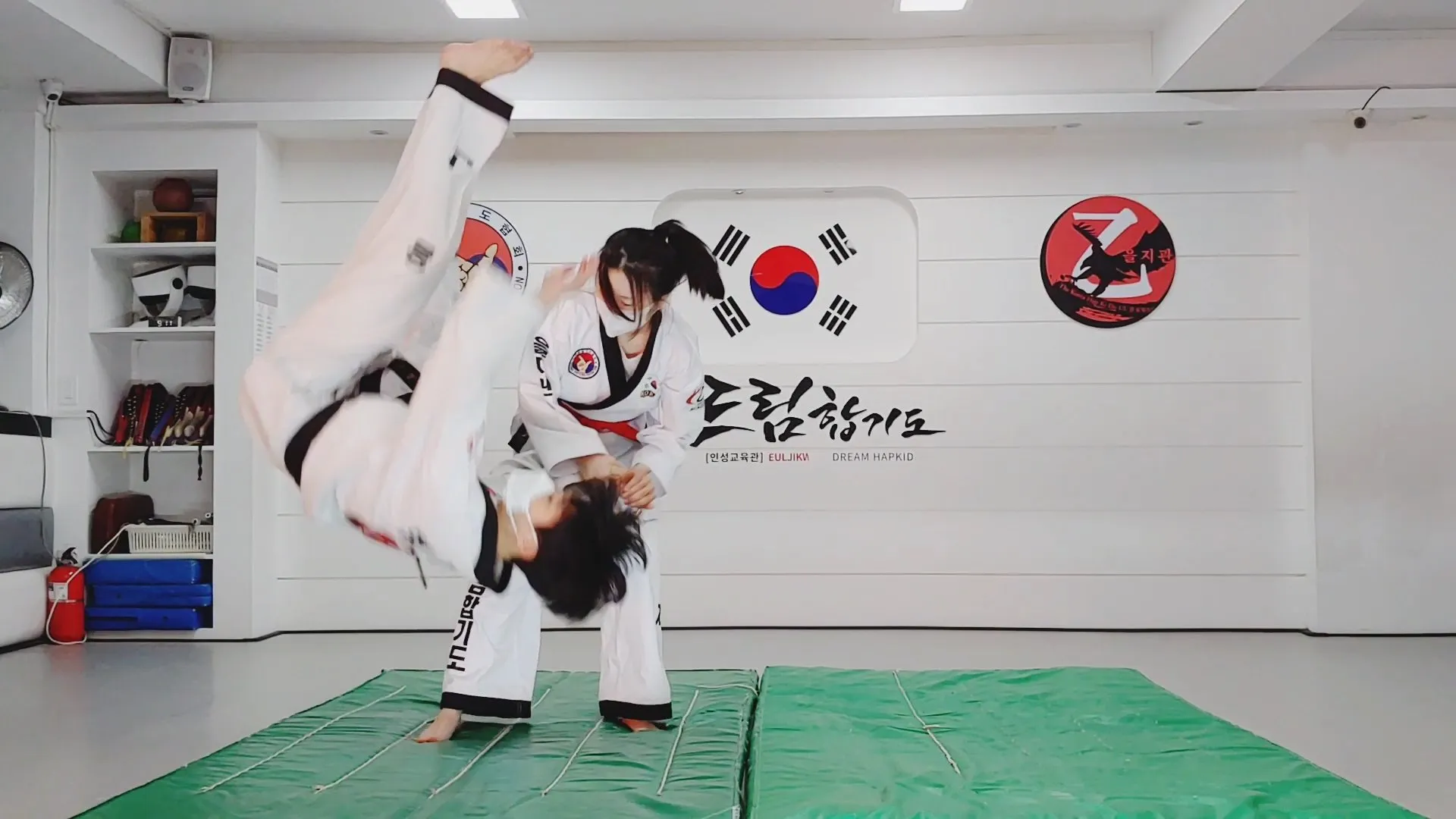 이미지 5