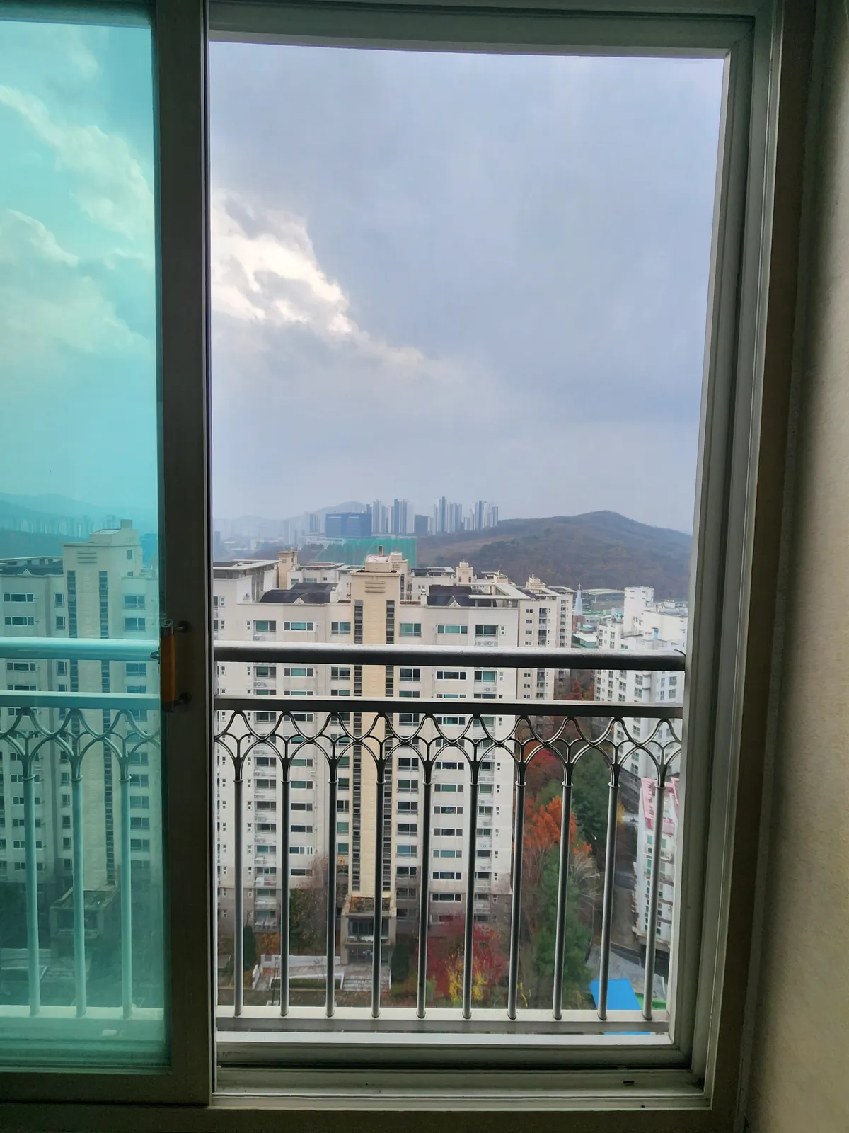 이미지 3