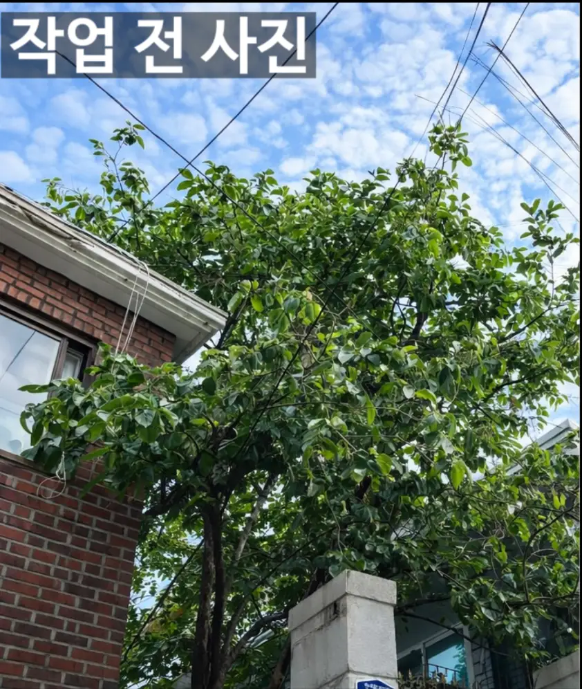 이미지 2
