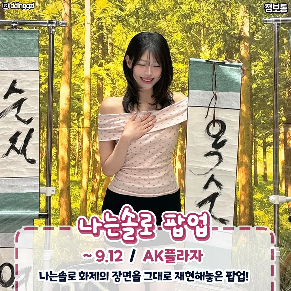 이미지 11