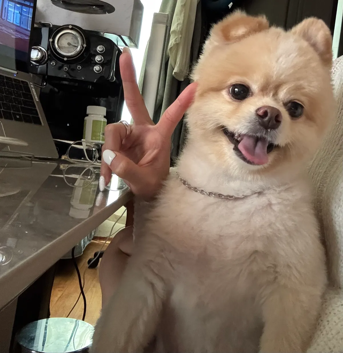 이미지 6