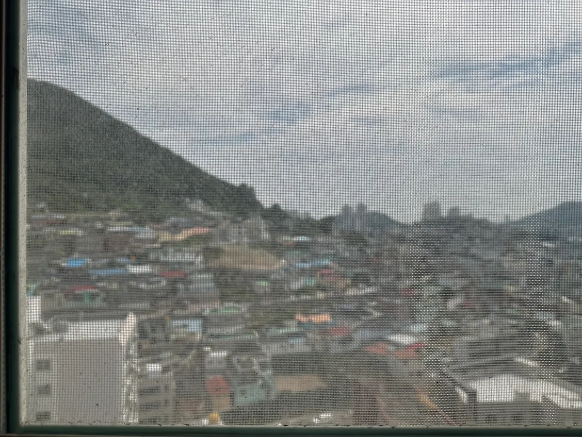 이미지 5