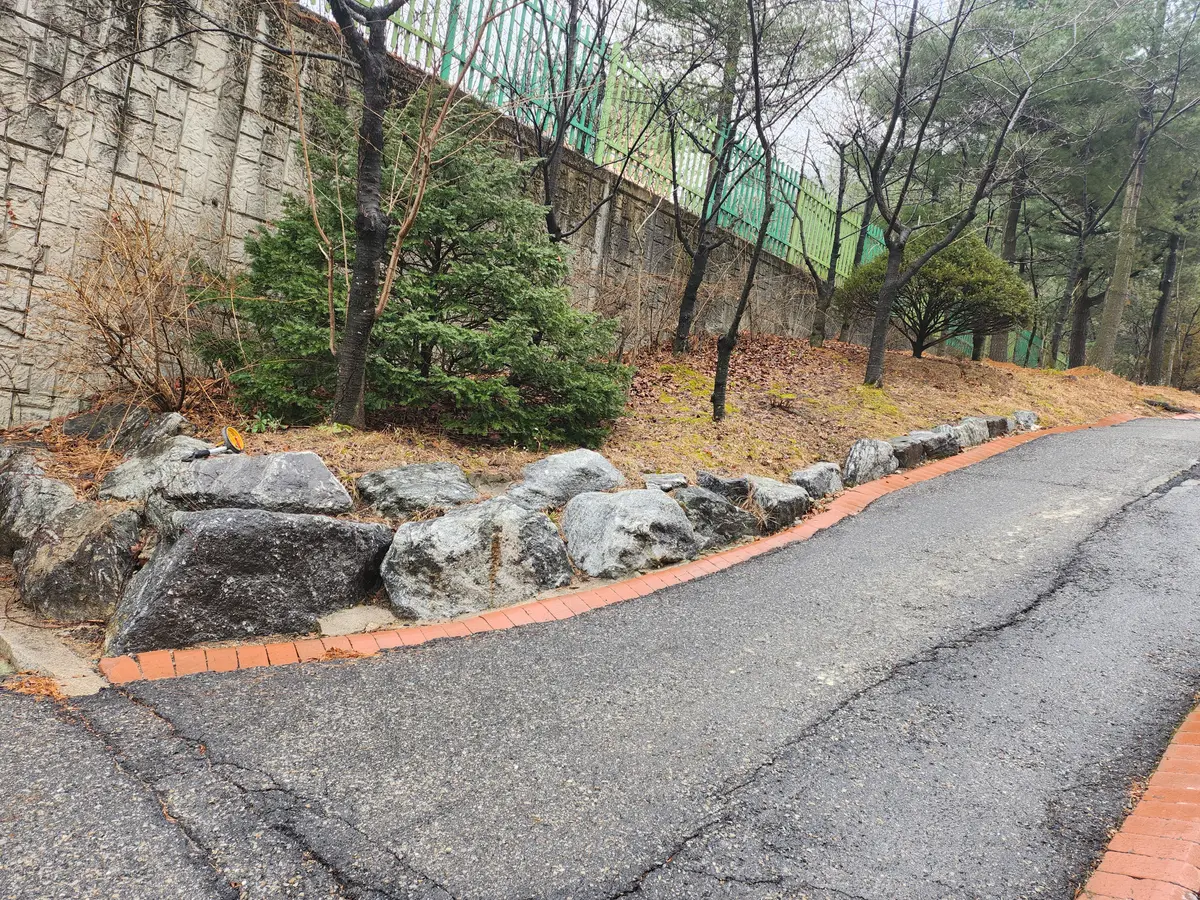 이미지 8