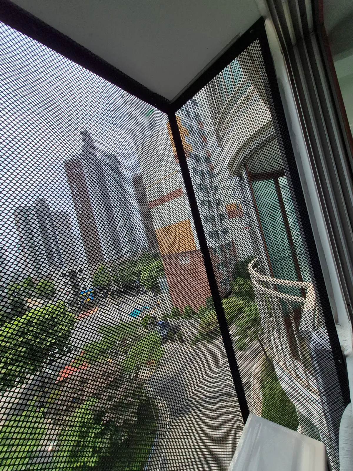 이미지 6