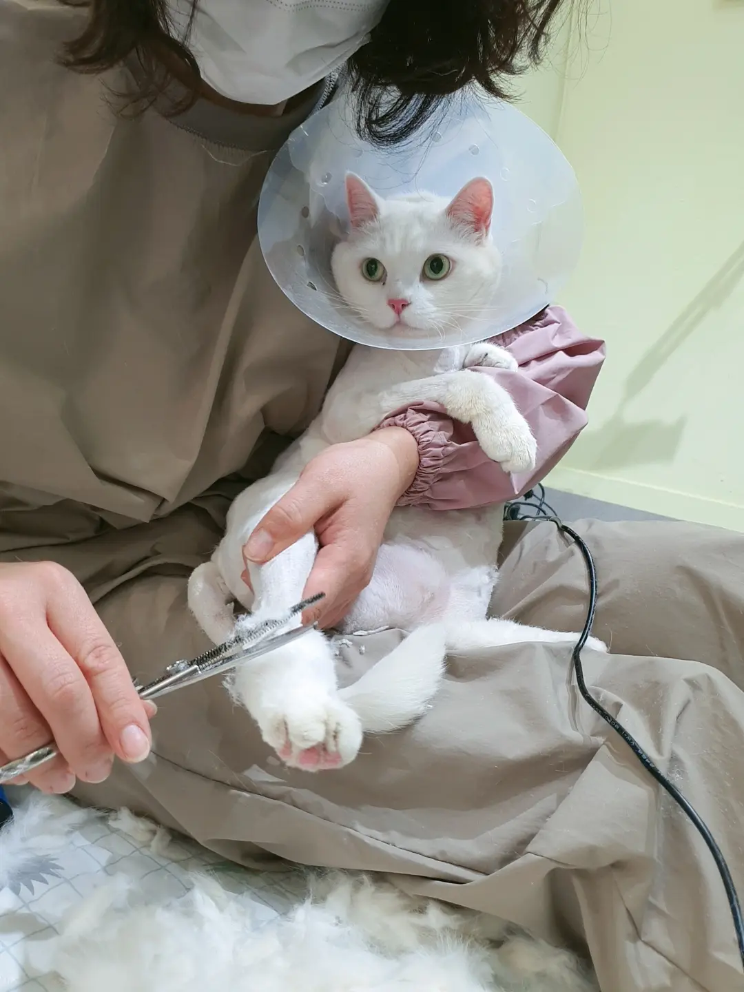 이미지 11