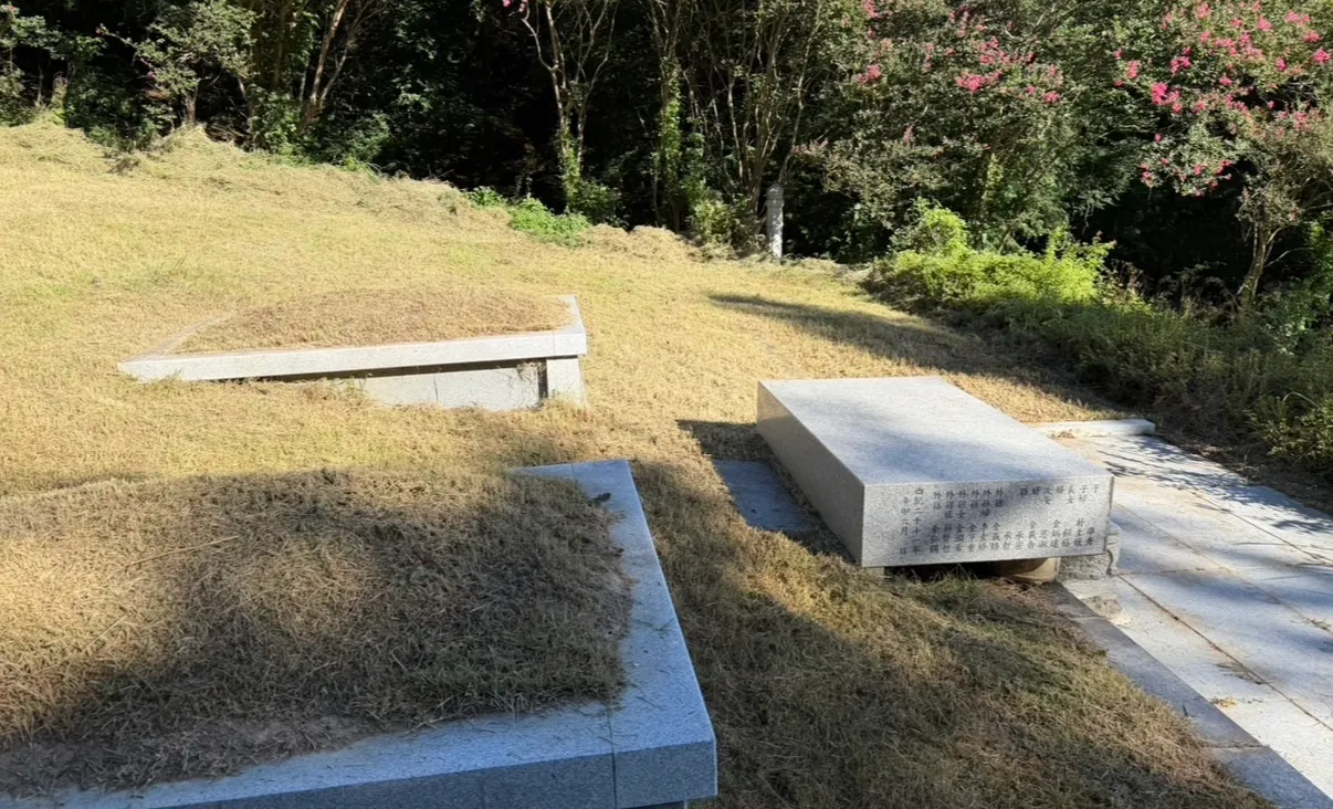 이미지 9