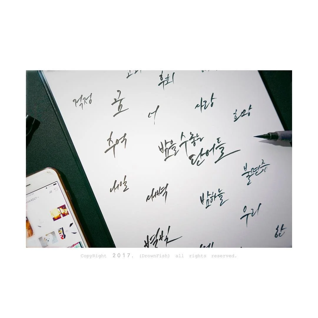 이미지 5