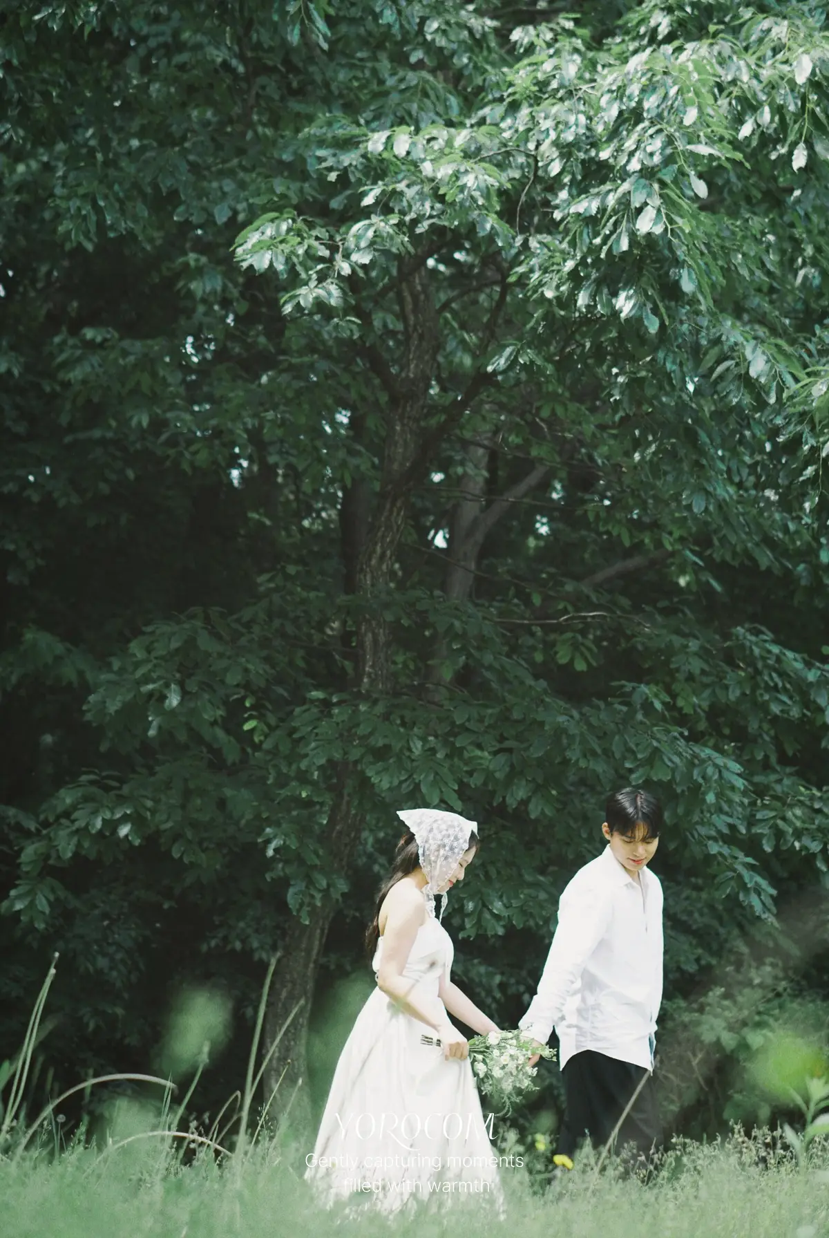 이미지 7