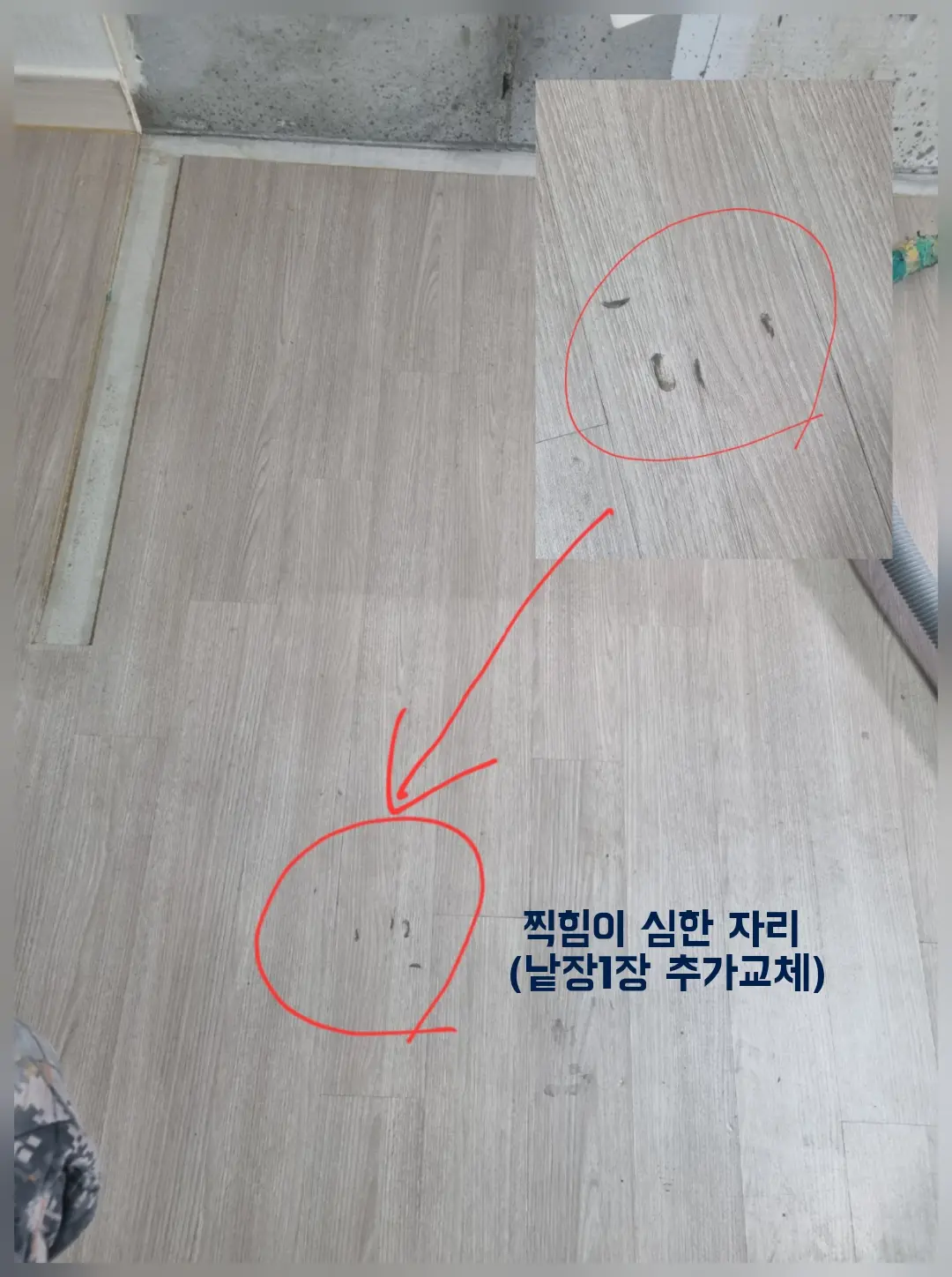 이미지 8