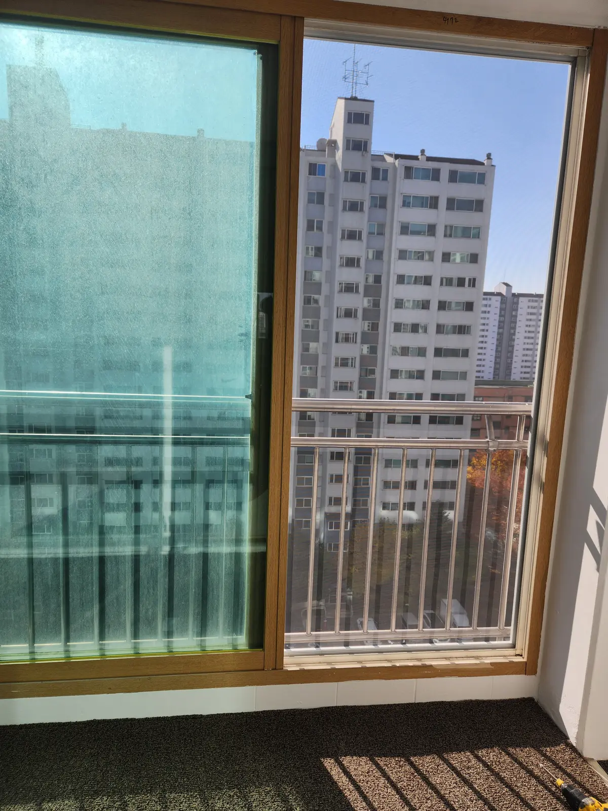 이미지 13