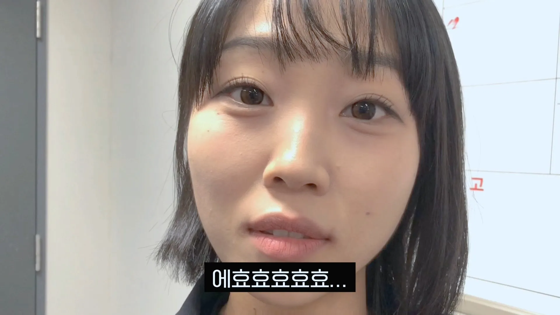 이미지 8