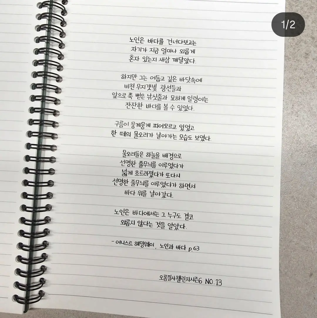이미지 16