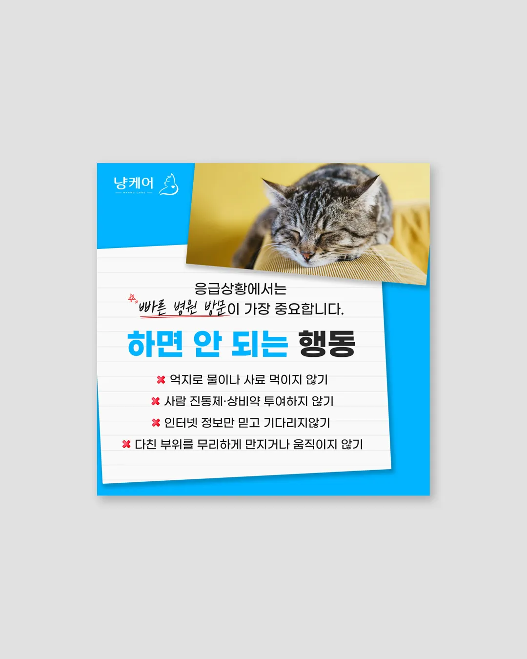 이미지 10