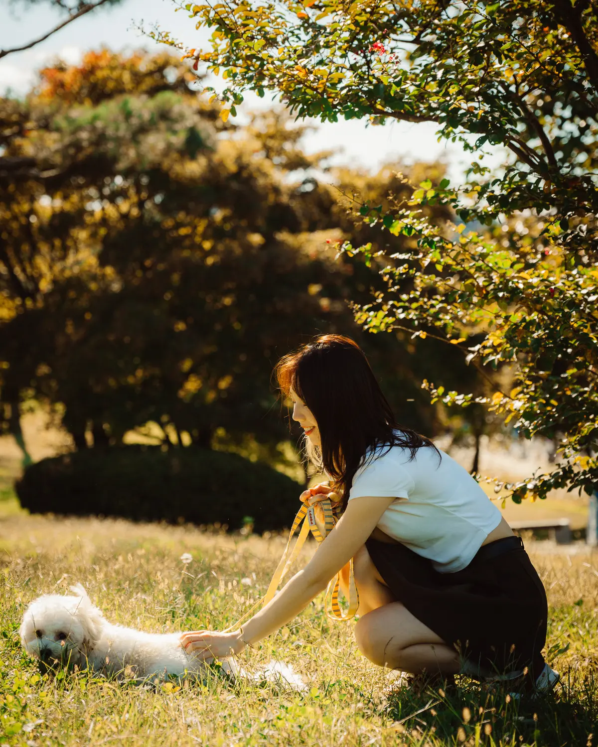 이미지 4