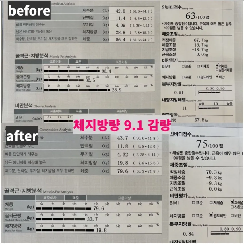 이미지 5
