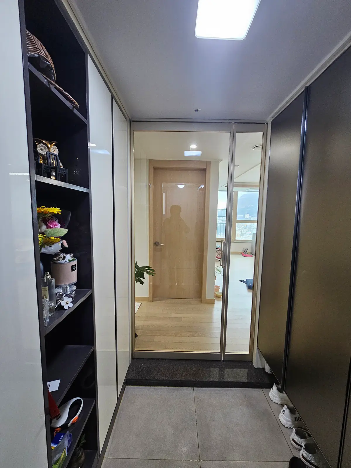 이미지 24