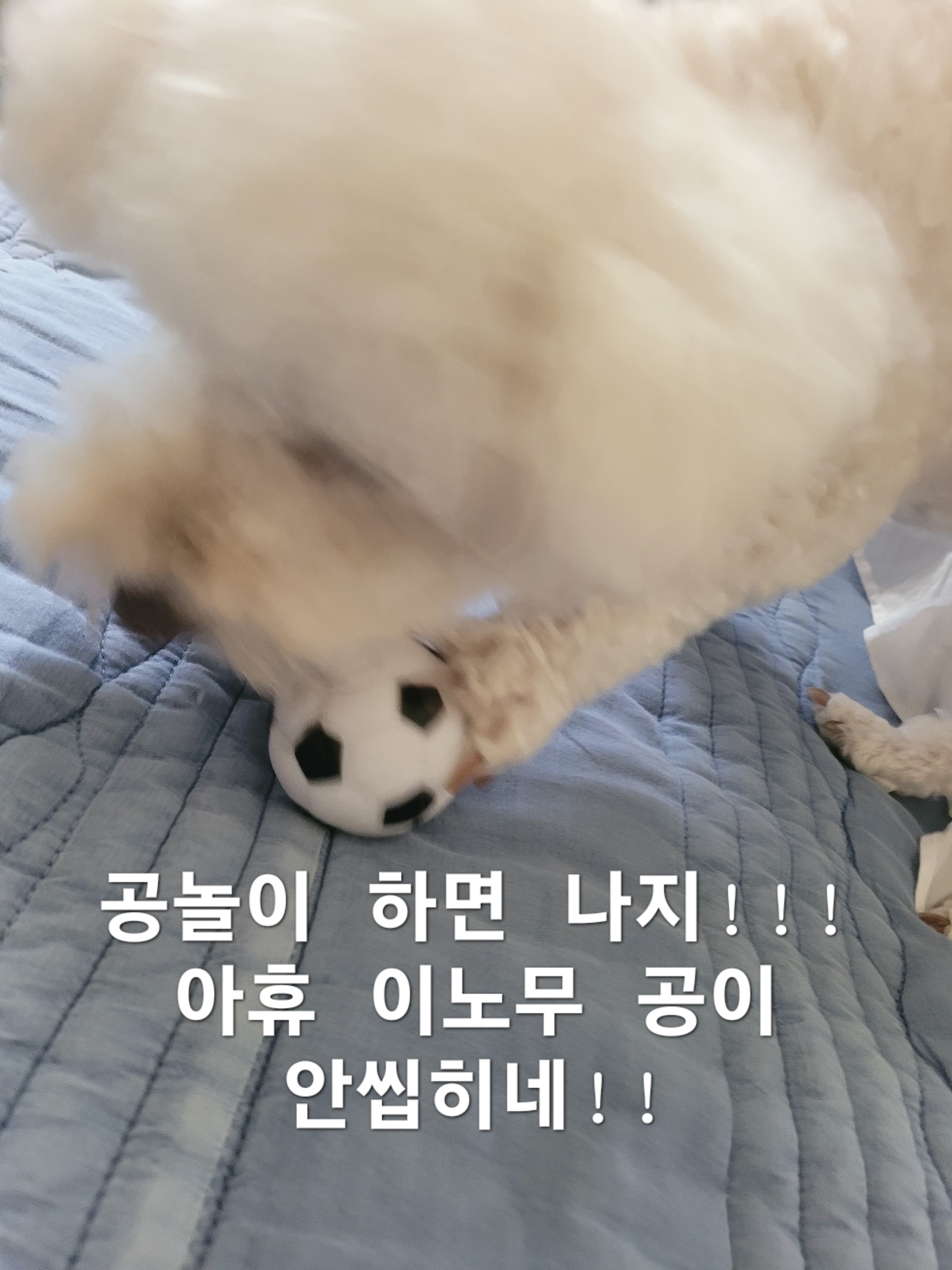 이미지 5