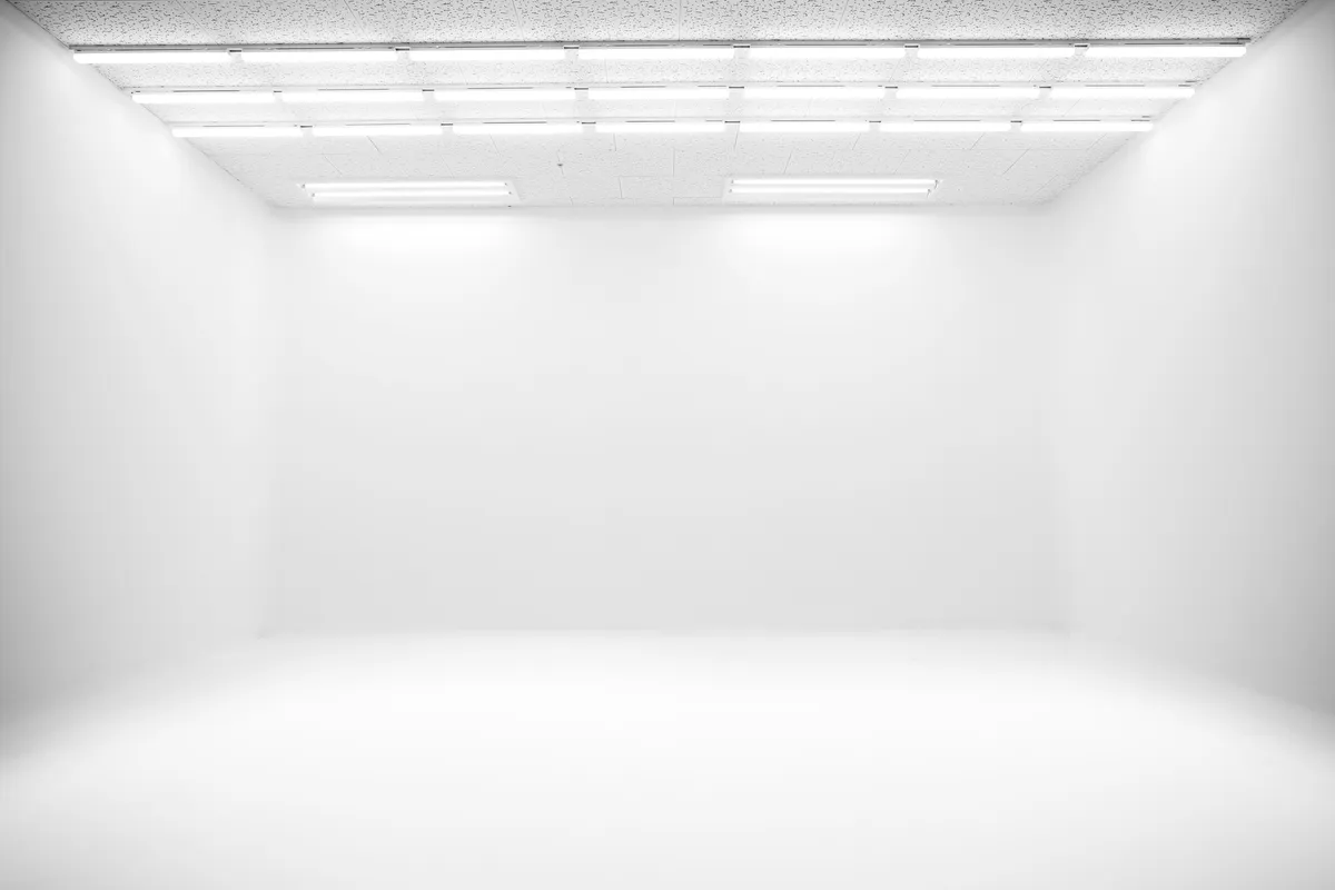 이미지 6