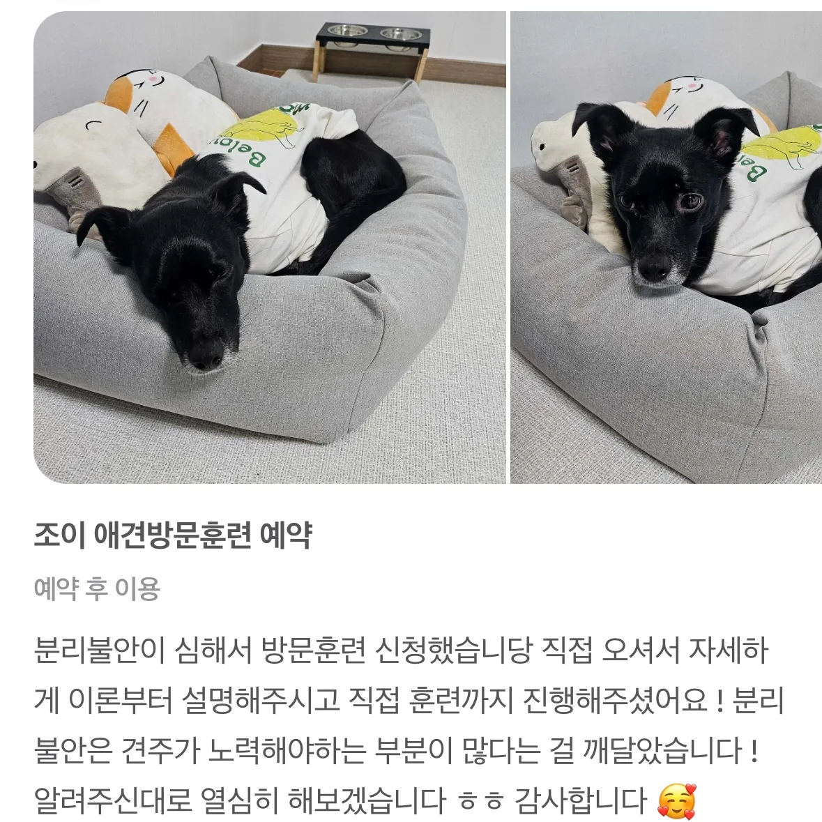 이미지 8