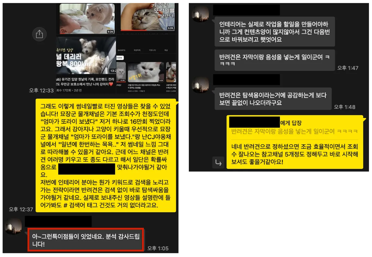 이미지 7
