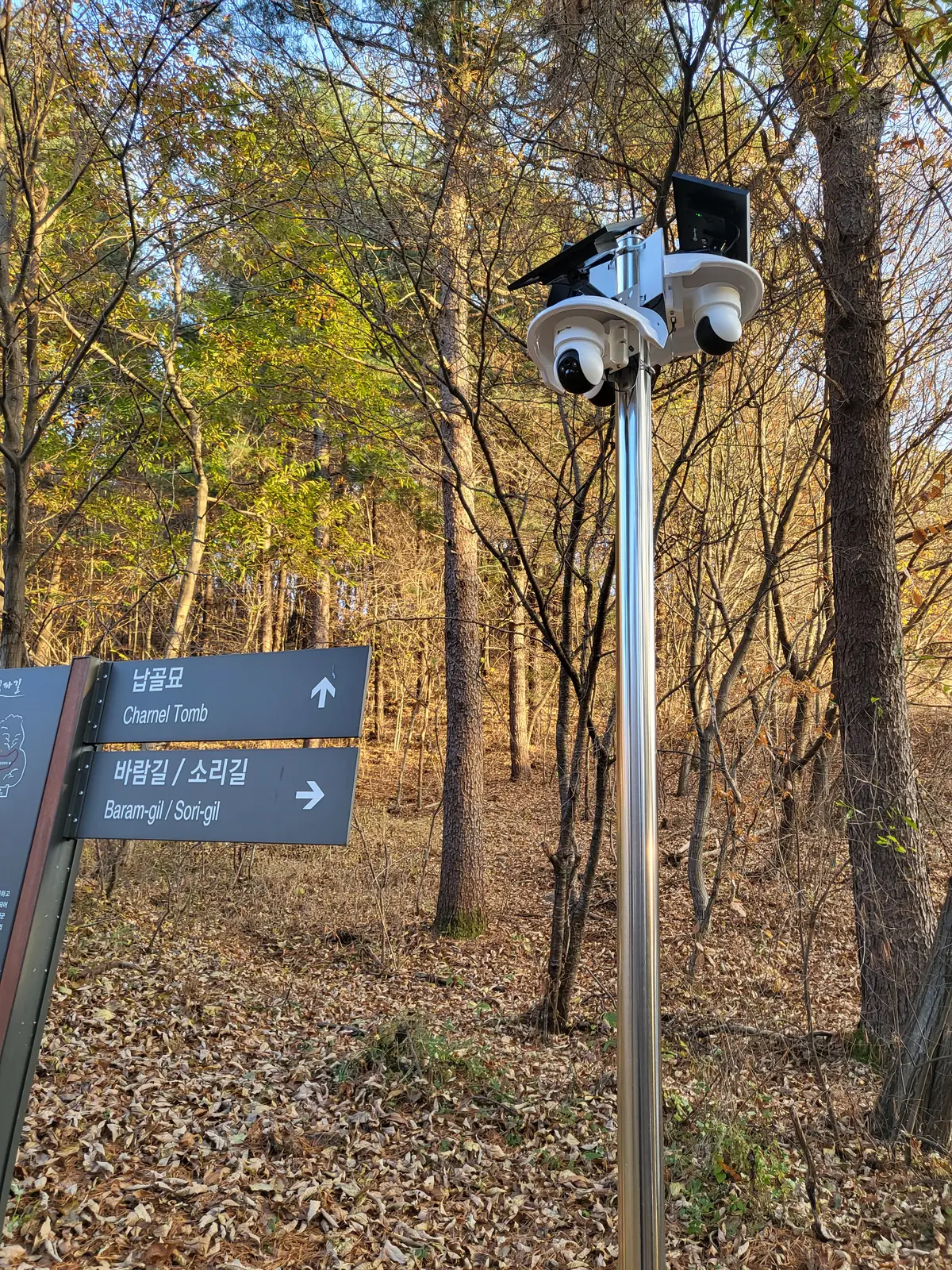 이미지 7