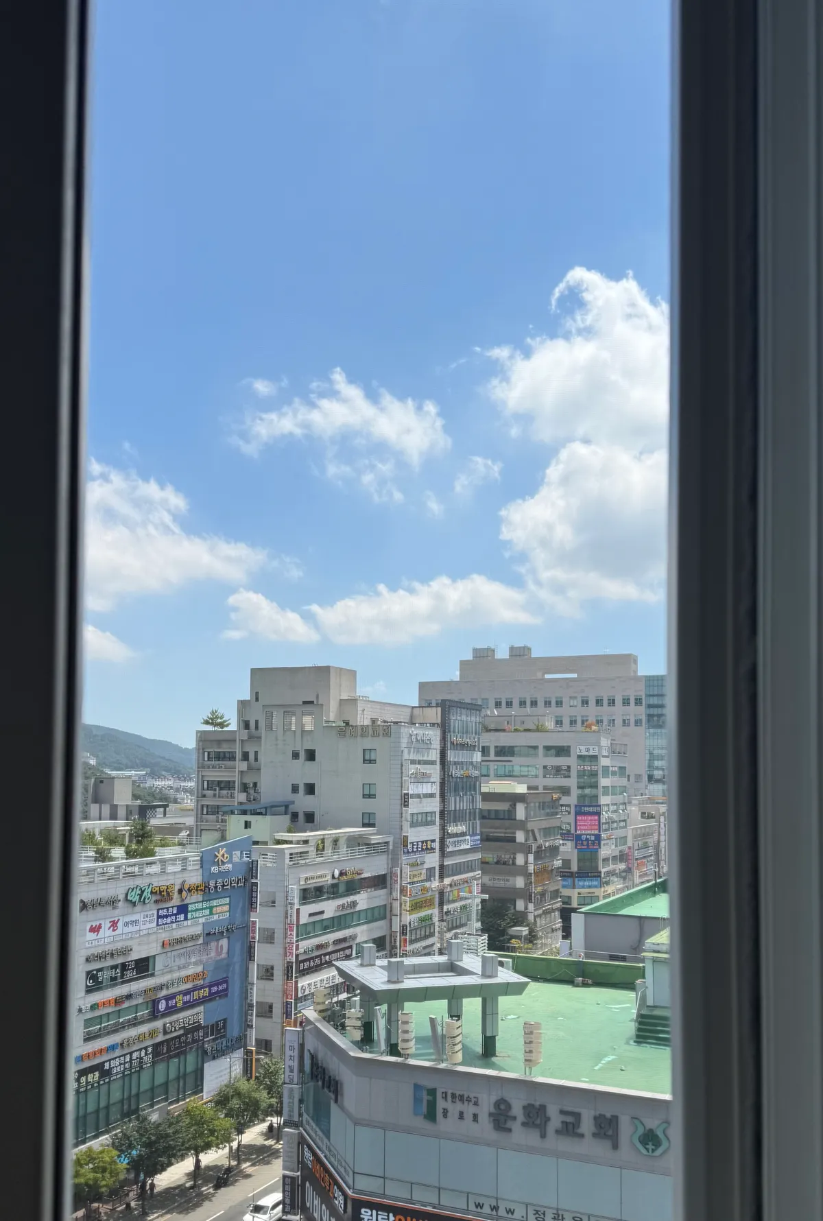 이미지 14