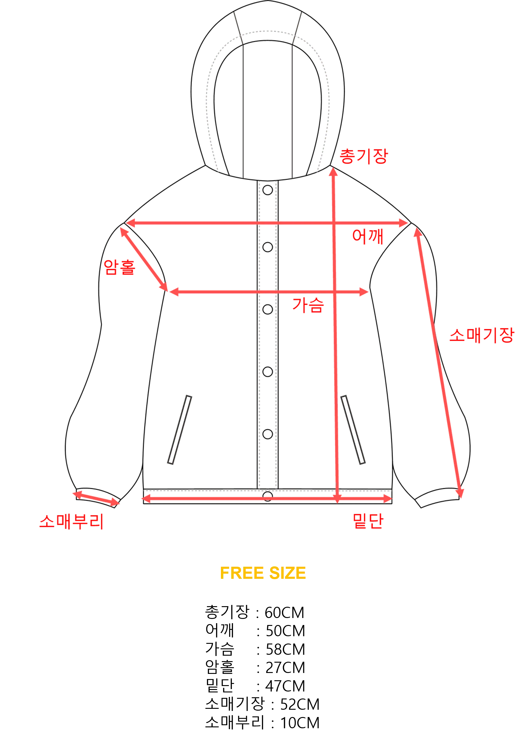 이미지 5