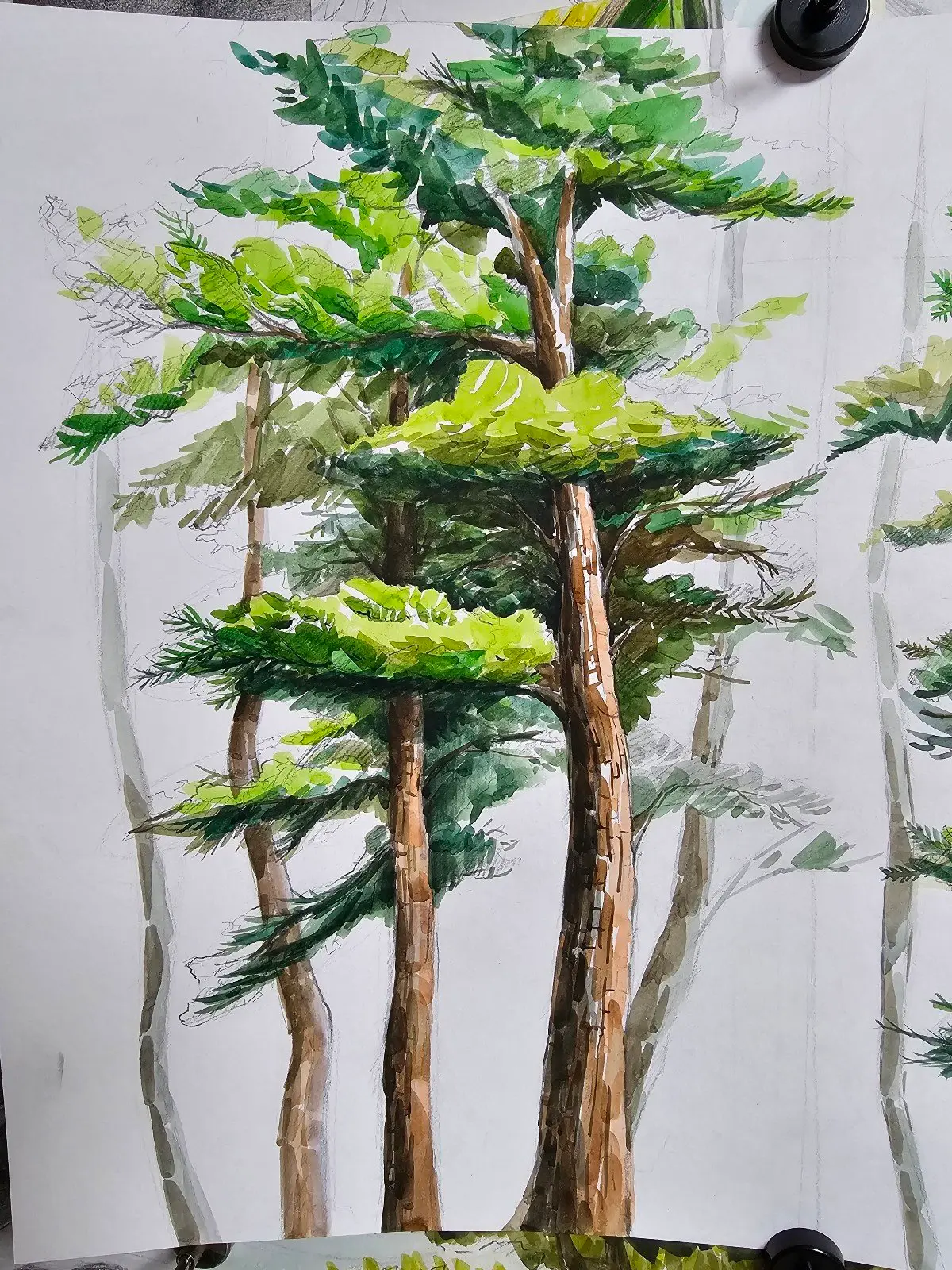 포트폴리오 이미지