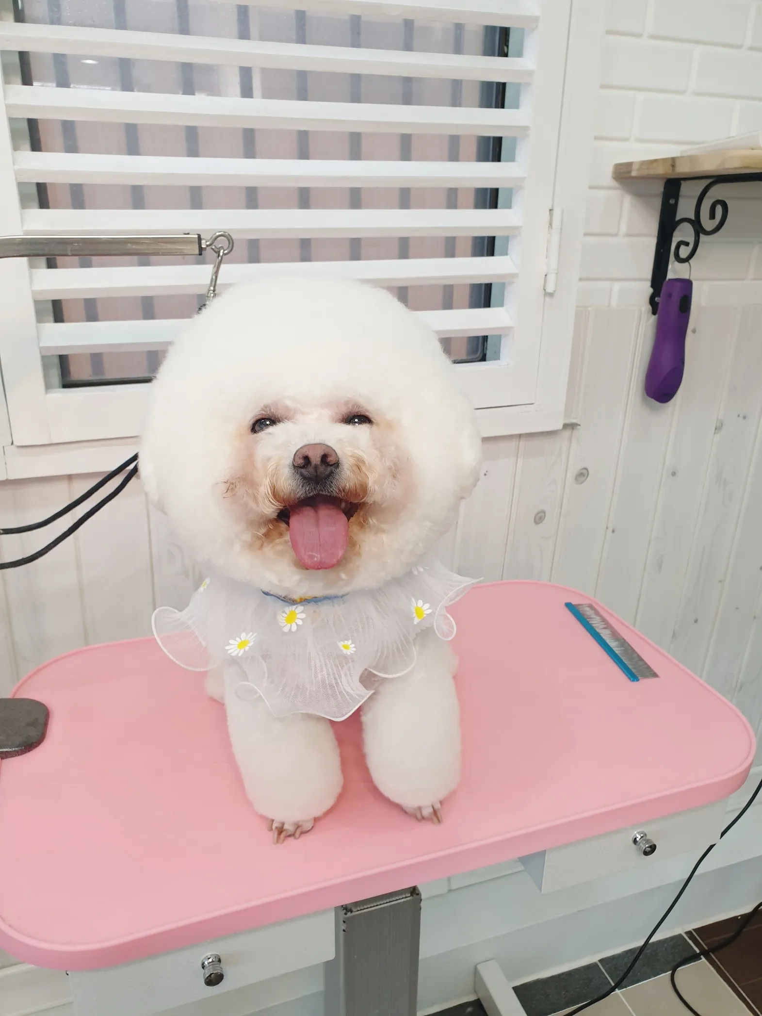 이미지 4