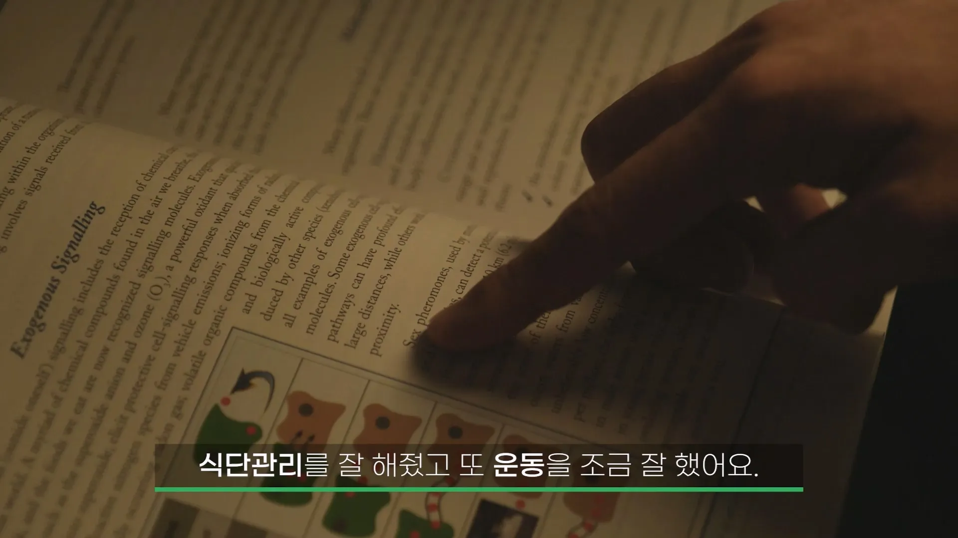 이미지 5