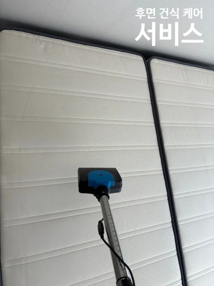 이미지 8