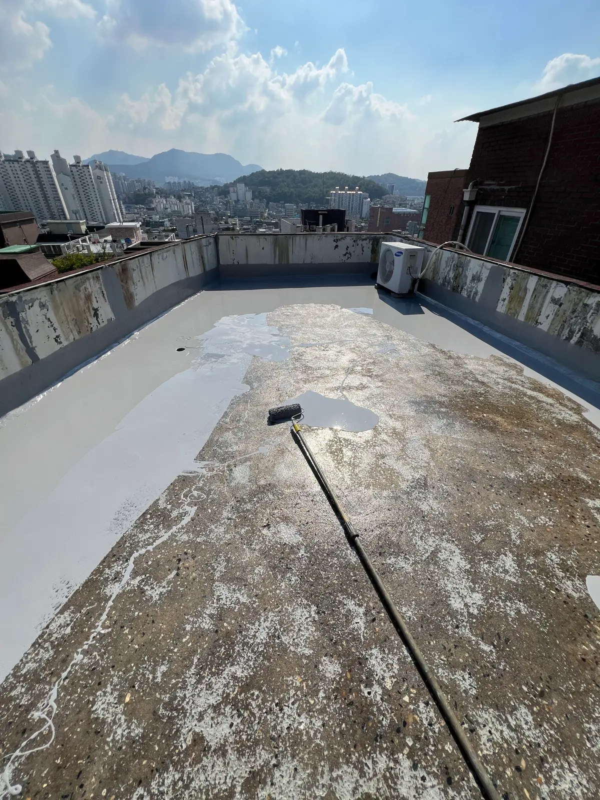 이미지 12