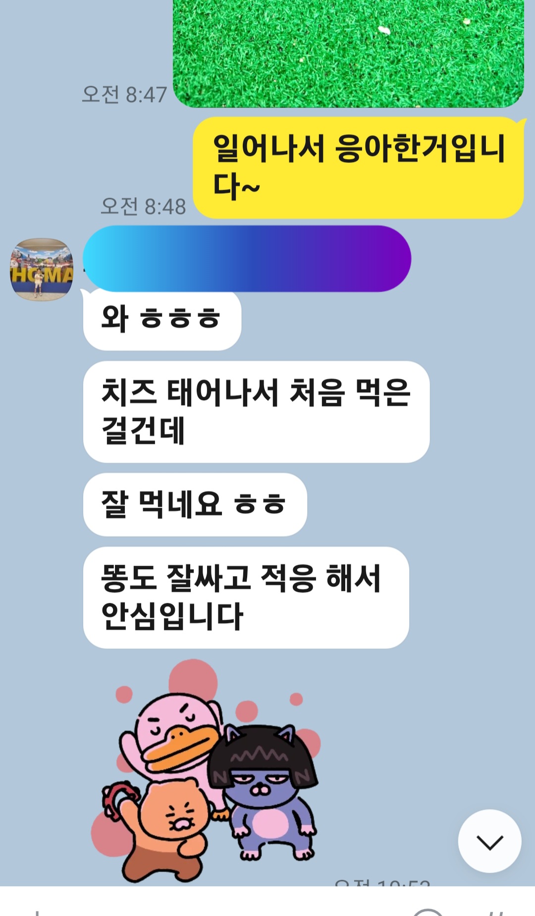 이미지 11