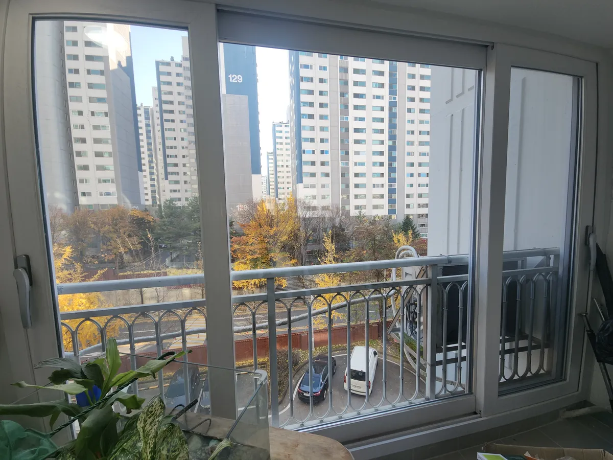 이미지 17