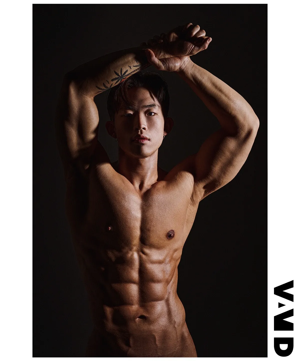 이미지 5