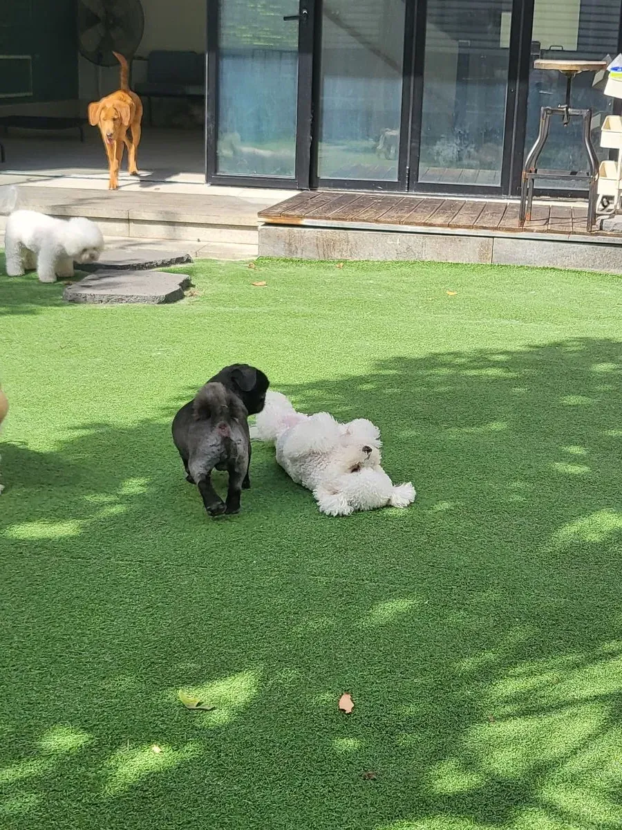 이미지 6