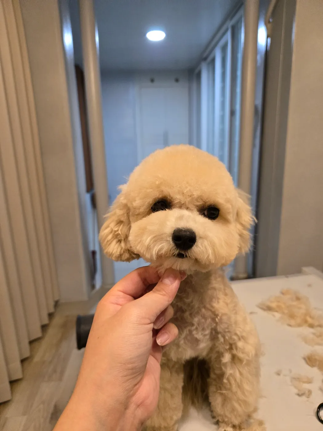 이미지 3