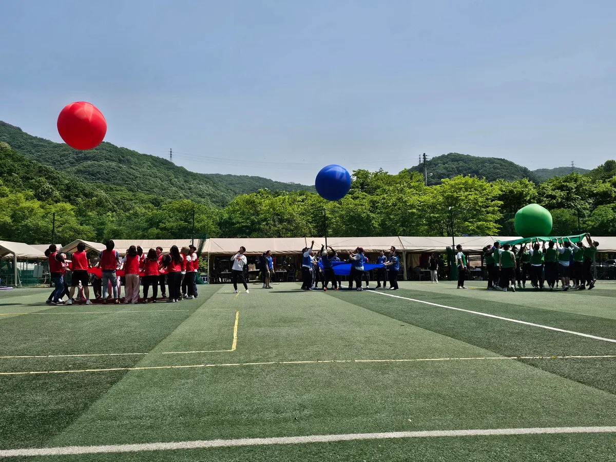 이미지 6