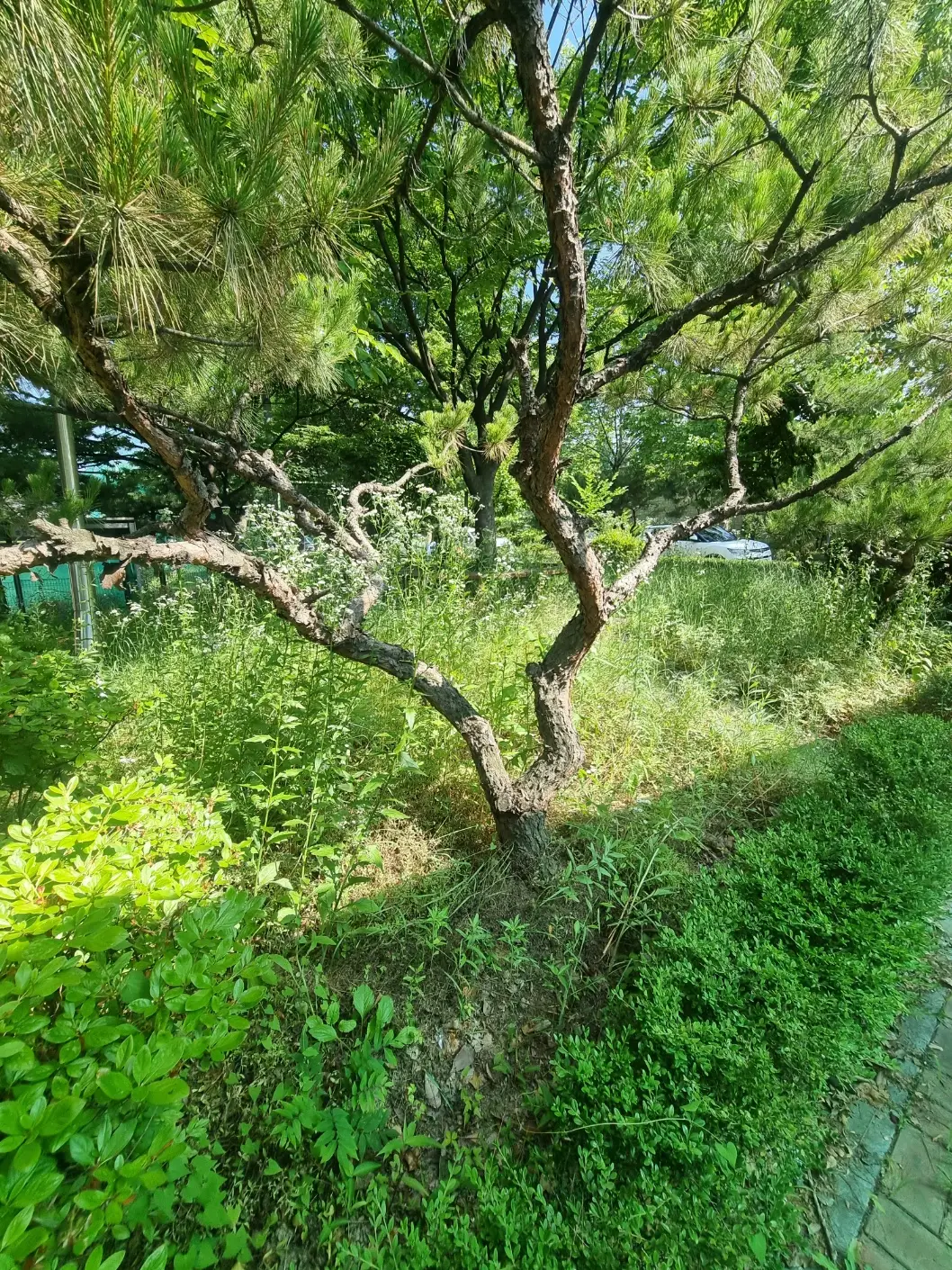 이미지 8