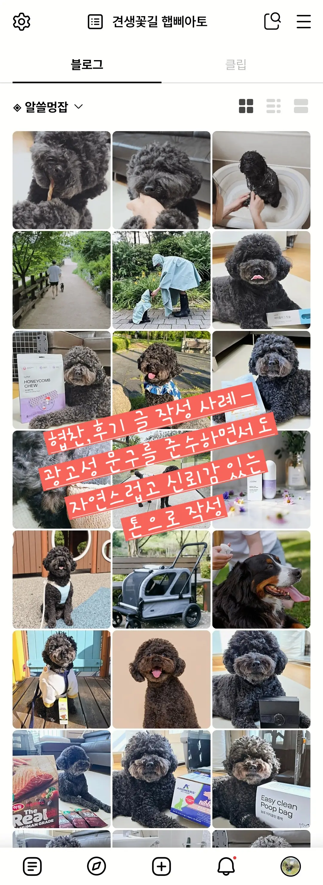 이미지 6