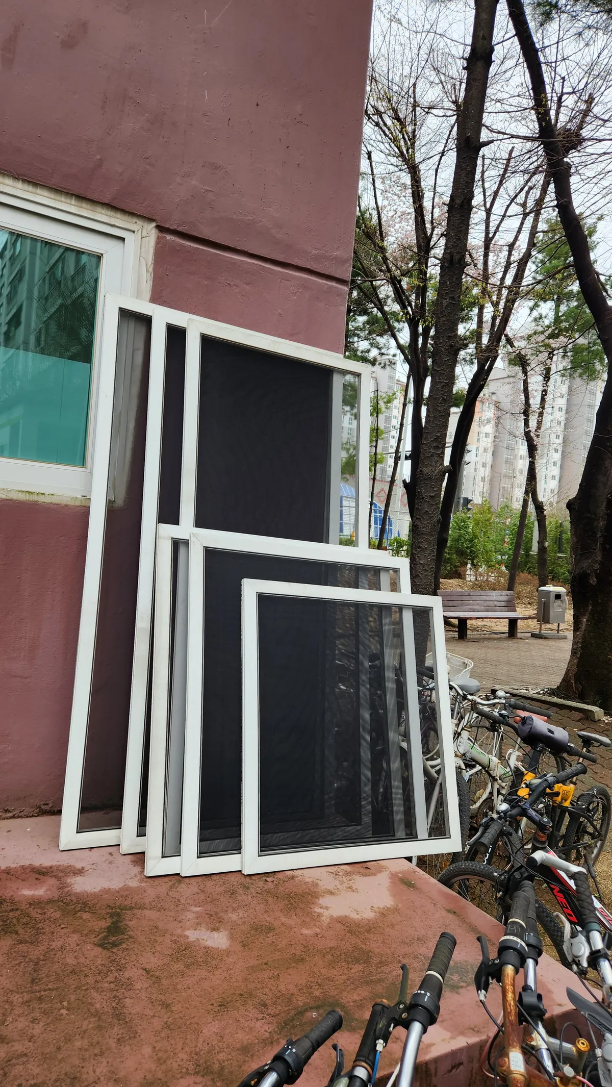 이미지 10