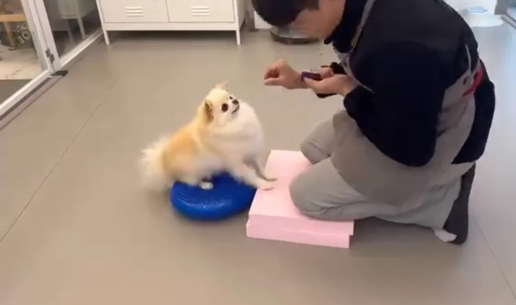 이미지 6