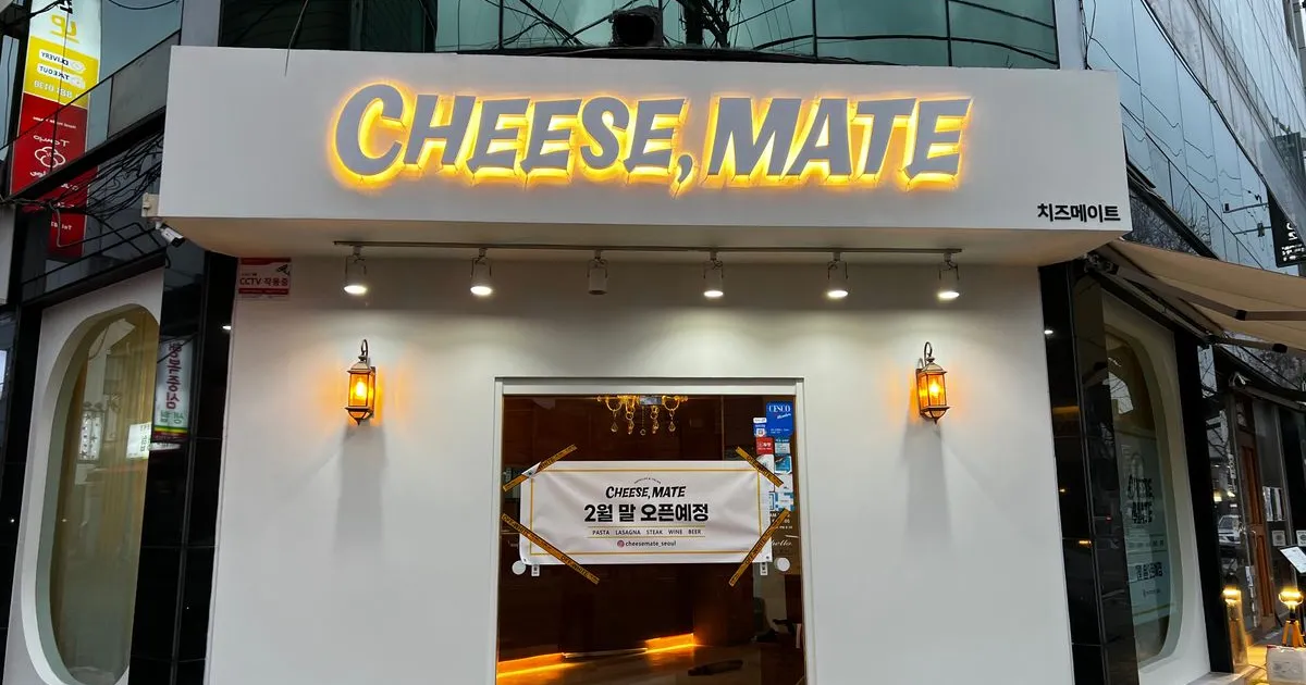 치즈메이트 / 오르픽컴퍼니 - 숨고, 숨은고수 치즈메이트 