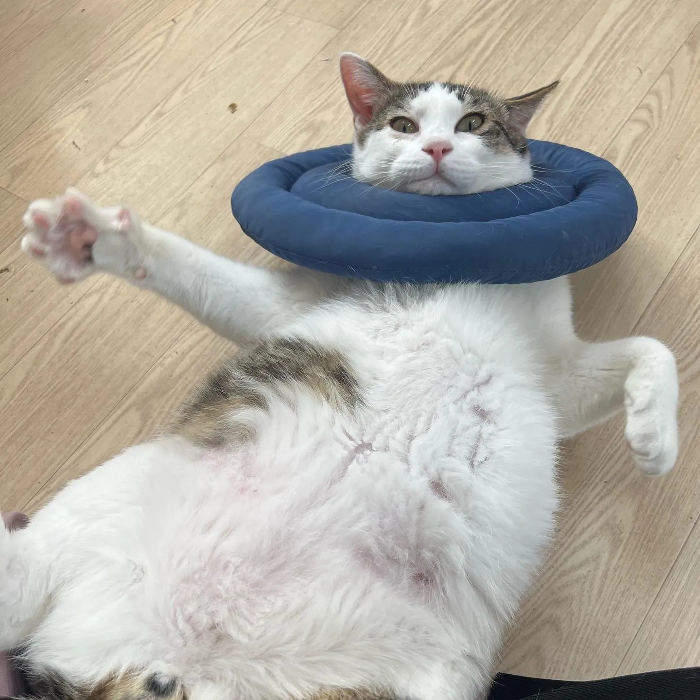 이미지 5