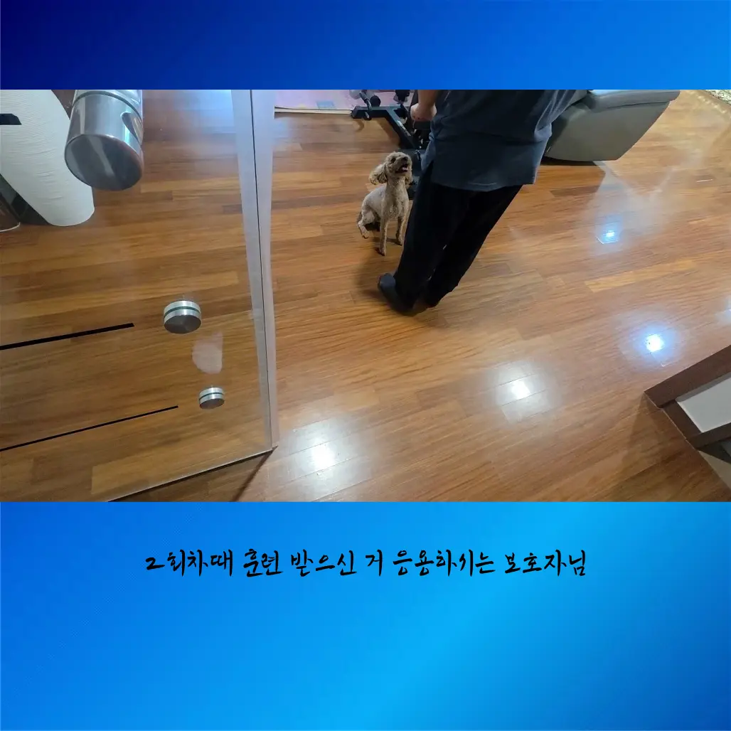 이미지 8